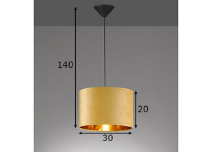 Fischer&Honsel подвесной светильник Aura цена и информация | Потолочный светильник, 38 x 38 x 24 см | hansapost.ee