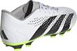 Jalgpallijalatsid Adidas Predator Accuracy.4 FxG, suurus 44 2/3, valge/roheline hind ja info | Putsad ja muud jalgpallijalatsid | hansapost.ee