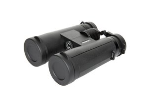 Prooptic 8x42 цена и информация | Бинокли | hansapost.ee