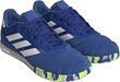 Jalgpallijalatsid Adidas Copa Gloro IN, suurus 42, sinine hind ja info | Putsad ja muud jalgpallijalatsid | hansapost.ee