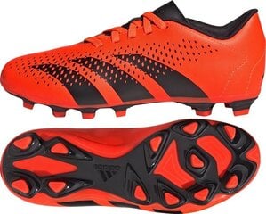 Adidas jalgpallijalatsid Predator Accuracy.4 FG Jr HQ0951, oranž hind ja info | Putsad ja muud jalgpallijalatsid | hansapost.ee