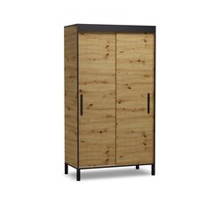 Spinta ADRK Furniture Brig 120, ruda цена и информация | Шкафы | hansapost.ee