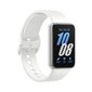 Samsung Galaxy Fit3 BT Silver цена и информация | Nutikellad, laste nutikellad | hansapost.ee