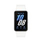 Samsung Galaxy Fit3 BT Silver цена и информация | Nutikellad, laste nutikellad | hansapost.ee