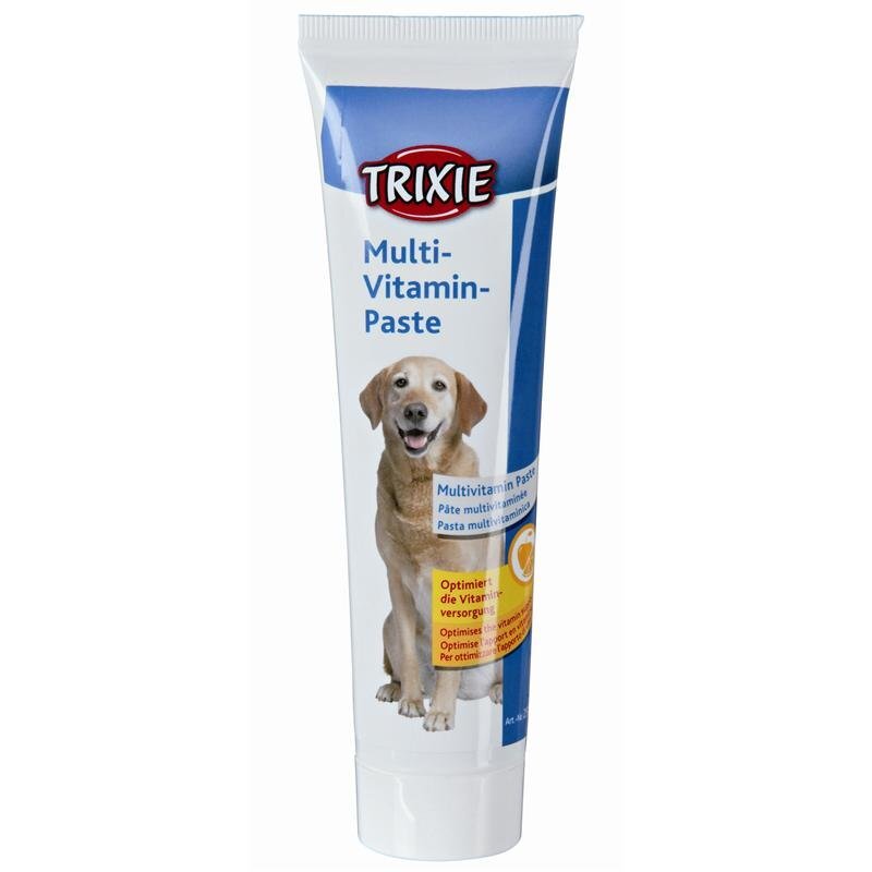 Trixie Vitamiinipasta, 100 g hind ja info | Vitamiinid ja parasiiditõrje | hansapost.ee