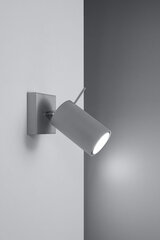 Sollux настенный светильник Ring 1, grey цена и информация | Настенные светильники | hansapost.ee