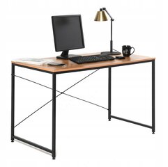 Письменный стол Ote, 120x60x74 см, коричневый/черный цена и информация | Компьютерные, письменные столы | hansapost.ee