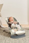 Lamamistool Babybjörn Bliss, 006039, puzzel цена и информация | Beebi lamamistoolid | hansapost.ee