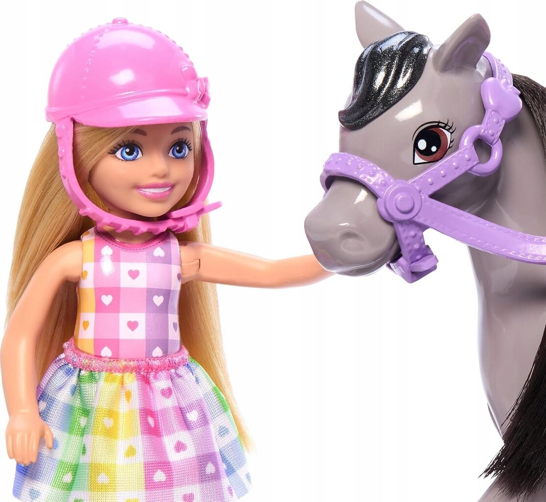 Chelsea nuku ja poni komplekt Barbie hind ja info | Mänguasjad tüdrukutele | hansapost.ee