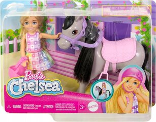 Chelsea nuku ja poni komplekt Barbie hind ja info | Mänguasjad tüdrukutele | hansapost.ee