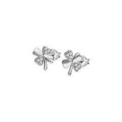 Naiste kõrvarõngad Lotus S7217272 price and information | Earrings | hansapost.ee