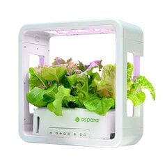 SmartPot aspara by GrowGreen Stylist Lite Smart Grower цена и информация | Проращиватели, лампы для растений | hansapost.ee