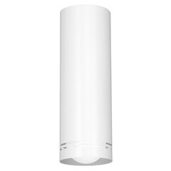 Luminex настенный светильник Insert Round 300 цена и информация | Настенные светильники | hansapost.ee
