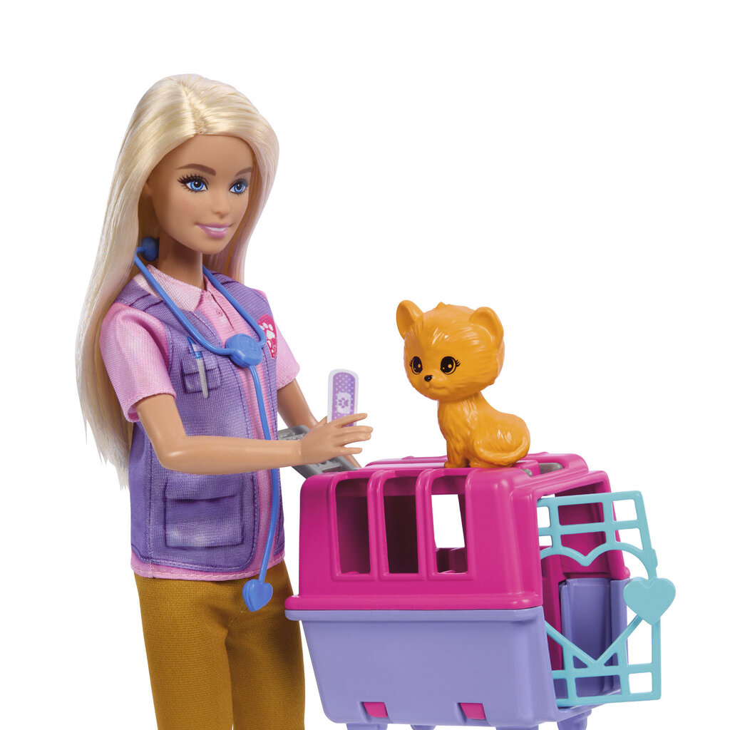 Vet nukk koos tarvikutega Barbie hind ja info | Mänguasjad tüdrukutele | hansapost.ee
