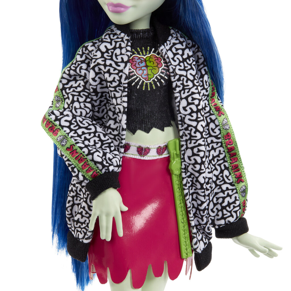 Monster High Ghoulia Yelps nukk koos tarvikutega цена и информация | Mänguasjad tüdrukutele | hansapost.ee