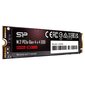 Silicon Power UD90 (SP04KGBP44UD9005) hind ja info | Sisemised kõvakettad | hansapost.ee