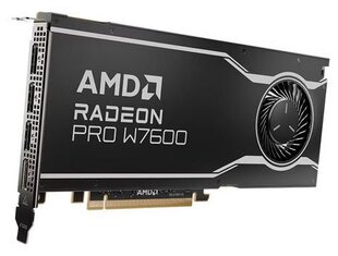 AMD Radeon Pro W7600 (100-300000077) hind ja info | Videokaardid | hansapost.ee