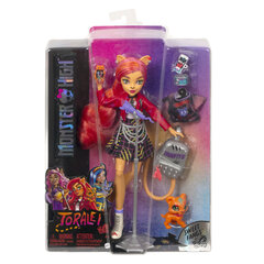 Laulja nukk Monster High aksessuaaridega hind ja info | Mänguasjad tüdrukutele | hansapost.ee