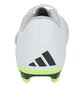 Adidas Jalgpallijalatsid meestele Predator Accuracy.4 FXG, valge цена и информация | Putsad ja muud jalgpallijalatsid | hansapost.ee