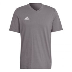 T-särk meestele Adidas Entrada 22, hall hind ja info | Spordiriided meestele | hansapost.ee