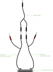 Комбинированный кабель Electrastim Трехфазный цена и информация | БДСМ и фетиш | hansapost.ee