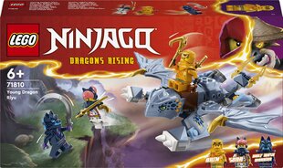 71810 LEGO® Ninjago Молодой дракон Riyu цена и информация | Конструкторы и кубики | hansapost.ee