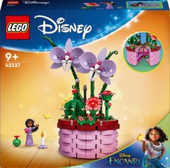 43237 LEGO® Disney Princess Цветочный горшок Изабеллы цена и информация | Конструкторы и кубики | hansapost.ee