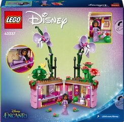 43237 LEGO® Disney Princess Цветочный горшок Изабеллы цена и информация | Конструкторы и кубики | hansapost.ee