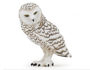 Kuju Snowy Owl, Papo hind ja info | Mänguasjad poistele | hansapost.ee