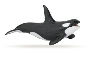 Фигурка Papo дельфин цена и информация | Игрушки для мальчиков | hansapost.ee