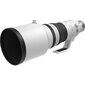 Canon RF 400mm F2.8L IS USM цена и информация | Fotoaparaatide objektiivid | hansapost.ee