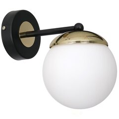 Milagro настольная лампа Sparta Black/Gold цена и информация | Настенные светильники | hansapost.ee
