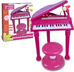 Детский набор пианино Bontempi iGirl, розовый цвет цена и информация | Развивающие игрушки для детей | hansapost.ee