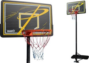 Баскетбольный щит со стойкой Master, 110x80 см цена и информация | Баскетбольные щиты | hansapost.ee