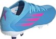 Adidas jalgpallijalatsid lastele X Speedflow.3 FG J, suurus 29, sinine hind ja info | Putsad ja muud jalgpallijalatsid | hansapost.ee
