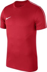 Nike T-särk Dry Park 18, S, punane hind ja info | Jalgpalli varustus ja riided | hansapost.ee