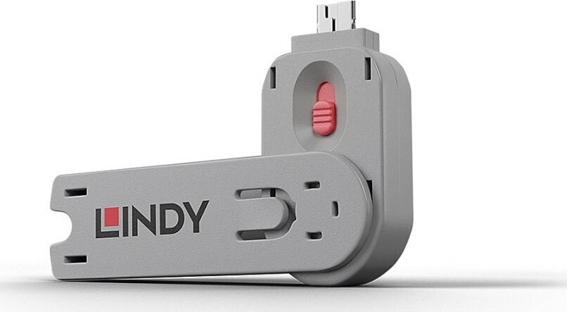 Lindy USB-A, 1 tk цена и информация | Juhtmed ja kaablid | hansapost.ee