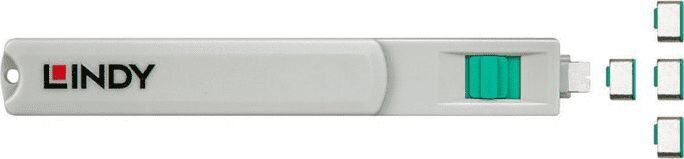 Lindy USB-C, 1 tk цена и информация | Juhtmed ja kaablid | hansapost.ee
