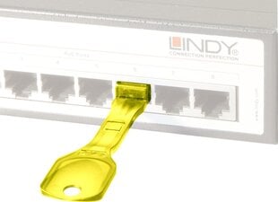 Lindy RJ- 45, 1 шт. цена и информация | Кабели и провода | hansapost.ee