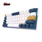 Klaviatuur Royal Kludge RK61 Plus TKL, 60%, Hot-swap, Brown Switches, US, Valge/Sinine hind ja info | Klaviatuurid | hansapost.ee