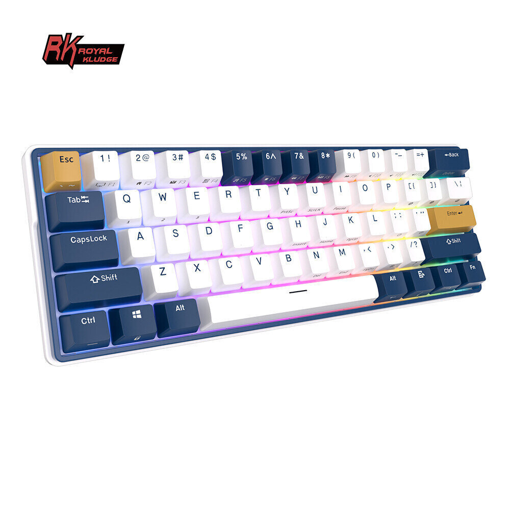 Klaviatuur Royal Kludge RK61 Plus TKL, 60%, Hot-swap, Blue Switches, US, Valge/Sinine hind ja info | Klaviatuurid | hansapost.ee