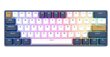 Klaviatuur Royal Kludge RK61 Plus TKL, 60%, Hot-swap, Blue Switches, US, Valge/Sinine hind ja info | Klaviatuurid | hansapost.ee