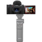 Sony ZV-1 II Vlog цена и информация | Fotoaparaadid | hansapost.ee