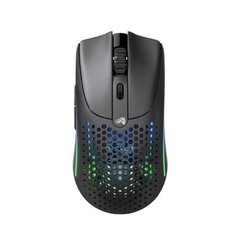 Беспроводная игровая мышь Glorious Model O 2, Bluetooth, 26000 точек на дюйм, матовая черная цена и информация | Компьютерные мыши | hansapost.ee