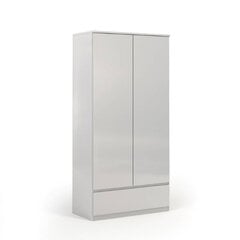 Шкаф Aatrium Naia, 99x50x200 см, белый цена и информация | Шкафы | hansapost.ee