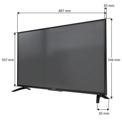 Manta 39LHN120TP цена и информация | Телевизоры | hansapost.ee