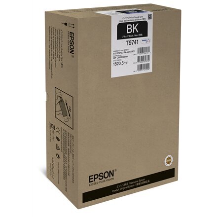 Epson WorkForce Pro WF-C869R Black XXL Ink Supply Unit цена и информация | Tindiprinteri kassetid | hansapost.ee
