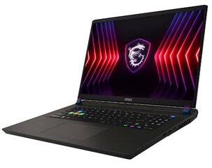 MSI Vector 17 HX A14VGG-216NL (VECTOR17HXA14VGG-216NL) цена и информация | Ноутбуки | hansapost.ee