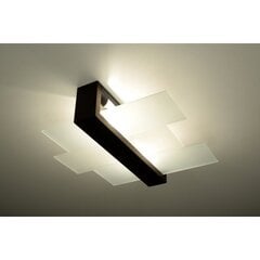 SOLLUX подвесная лампа Feniks 2 White цена и информация | Потолочные светильники | hansapost.ee