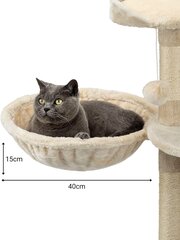 Переноска для кошек Lionto, 40 см, бежевая цена и информация | Когтеточки | hansapost.ee